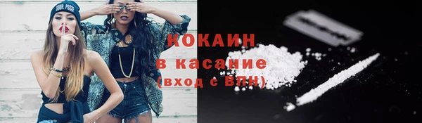 сатива Аркадак