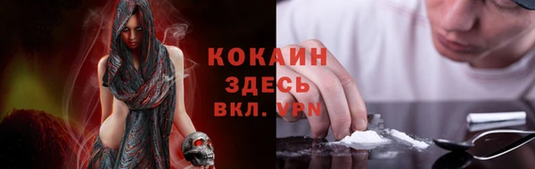 сатива Аркадак