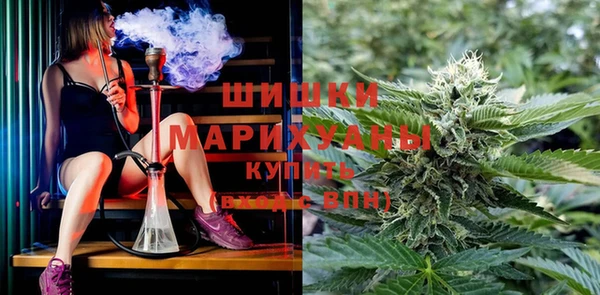 сатива Аркадак
