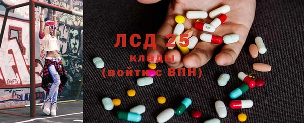 сатива Аркадак
