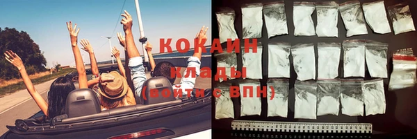 сатива Аркадак
