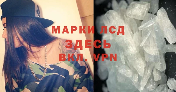 сатива Аркадак